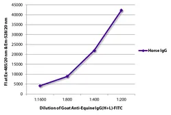 Goat Anti-Horse IgG antibody (FITC). GTX04104-06