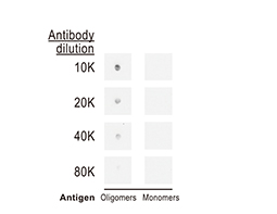 Beta amyloid (1-42) antibody – Conformation Specific antibody [GT622]_1