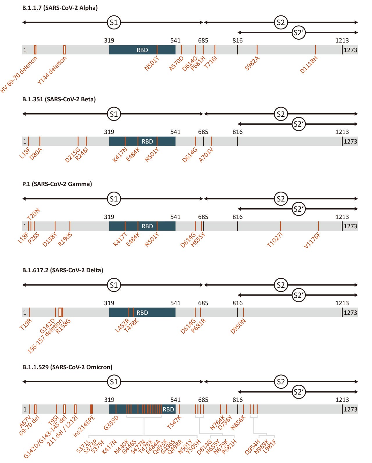 Sars-cov-2 (COVID-19) spike mutant sites