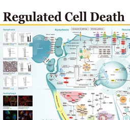 Regulated Cell Death