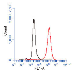 CD81 antibody(GTX101766)