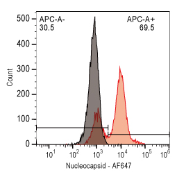 SARS-CoV-2 (COVID-19) Nucleocapsid antibody (GTX135357)