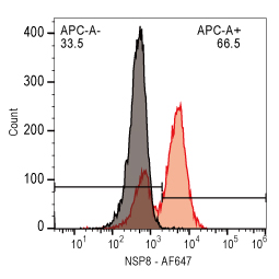 SARS-CoV / SARS-CoV-2 (COVID-19) NSP8 antibody [5A10] (GTX632696)