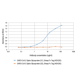 SARS-CoV / SARS-CoV-2 (COVID-19) Spike antibody [CR3022] (GTX01555)