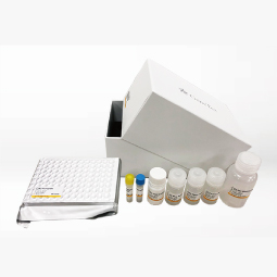 SARS-CoV-2 (COVID-19) Nucleocapsid Protein Sandwich ELISA Kit (GTX535824)