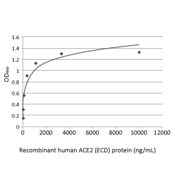 SARS-CoV-2 (COVID-19) Spike (ECD) protein, His tag (active)