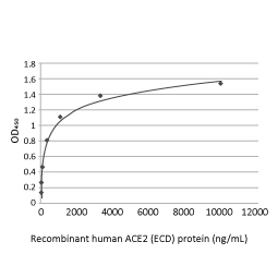 SARS-CoV-2 (COVID-19) Spike RBD (N501Y Mutant) protein, His tag (active)