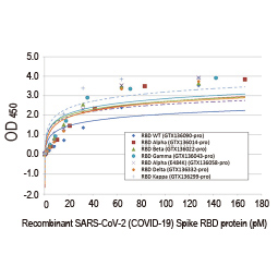 SARS-CoV-2 (COVID-19) Spike RBD Protein Sandwich ELISA Kit