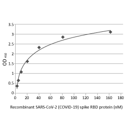 SARS-CoV-2 (COVID-19) Spike RBD antibody [HL1014]