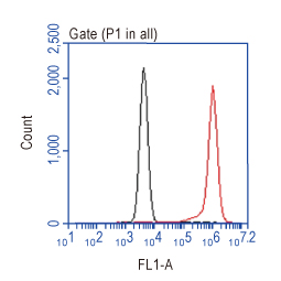 Annexin V antibody (GTX103250)