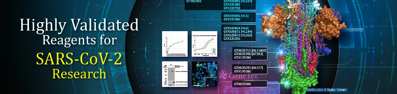 Highly Validated Reagents for SARS-CoV-2 Research