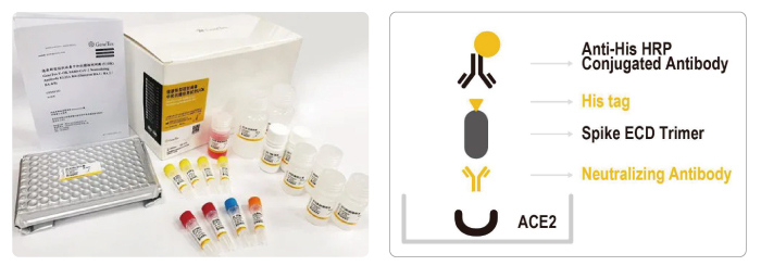 SARS-CoV-2 Neutralizing Antibody ELISA Kit (Omicron BA.1 / BA.2 / BA.4 / BA.5) (GTX537233)