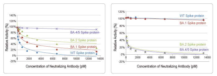 SARS-CoV-2 (COVID-19) Spike RBD antibody