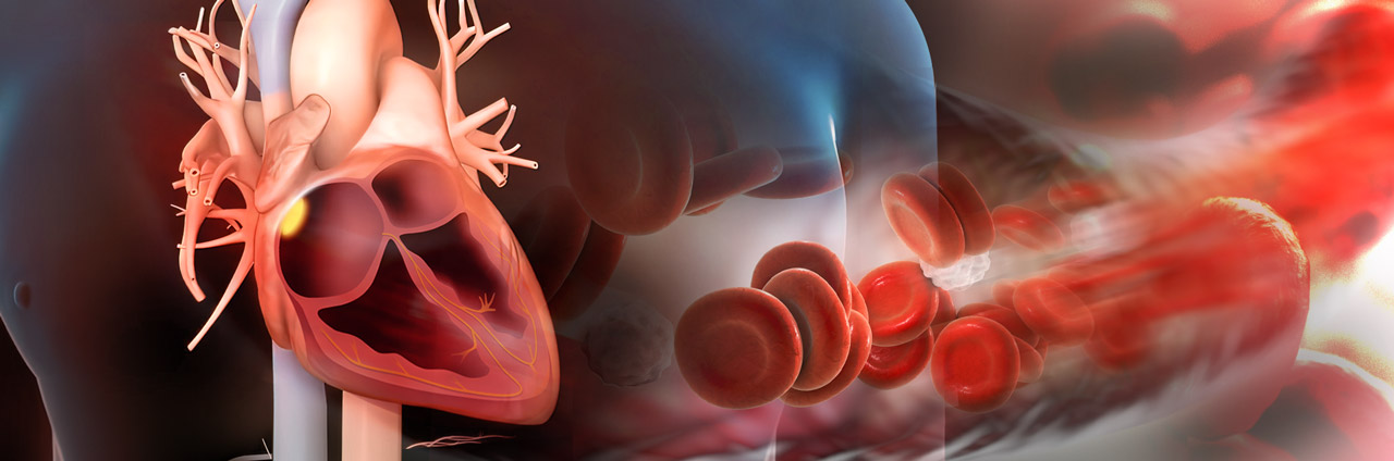 Article Alert: Visinin-like 1 (Vsnl1) is a potential marker of the sinoatrial node