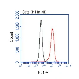 TSG101 antibody [4A10] (GTX70255)