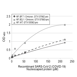 Sandwich ELISA detection of recombinant nucleocapsid protein(s) derived from different strains of SARS-CoV-2 virus.