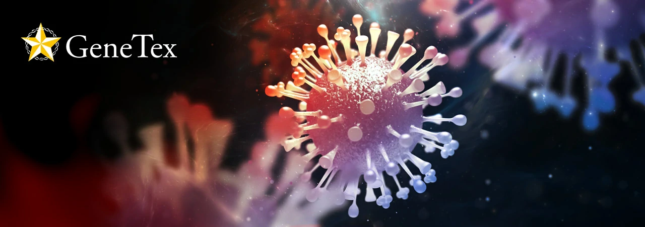 Article Alert: Avian Influenza Virus NS2 Protein Facilitates Viral Adaptation to Mammals