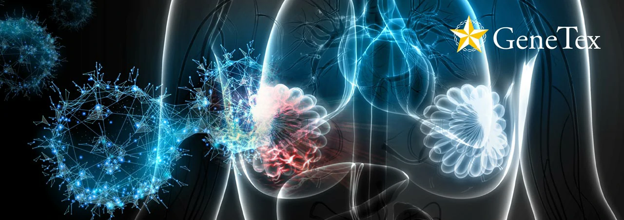 Article Alert: Compartment-Specific or Shared Oncogenic Drivers Underlie Primary and Metastatic Breast Cancer