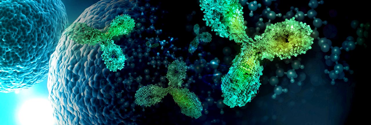 E3 Ligase UBE3A Detection with GeneTex’s New Recombinant Antibody