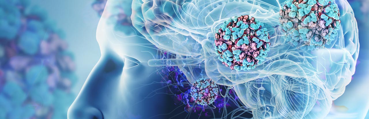 Detection of Venezuelan Equine Encephalitis Virus (VEEV) Nonstructural Proteins with GeneTex’s Recombinant Monoclonal Antibodies