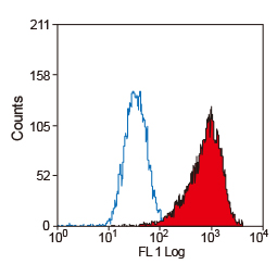CD34 antibody [MEC14.7] (GTX42057)