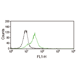 CD45 antibody [GT0014] (GTX628507)