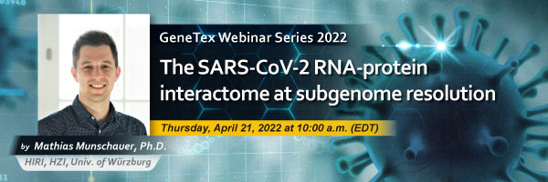 RNA vaccines against emerging viruses