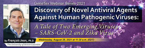 Discovery of Novel Antiviral Agents Against Human Pathogenic Viruses: A Tale of Two Emerging Viruses – SARS-CoV-2 and Zika Virus