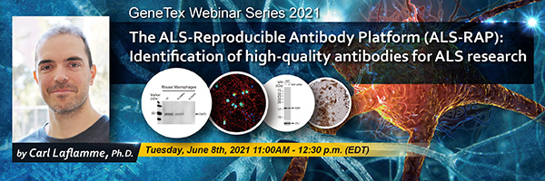 The ALS-Reproducible Antibody Platform (ALS-RAP): Identification of high-quality antibodies for ALS research