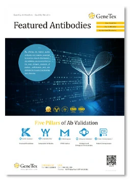 Featured Antibodies
