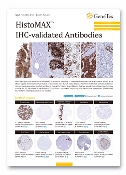 HistoMAX – IHC-validated Antibodies