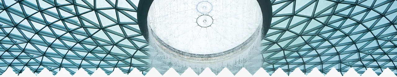 Get a FREE Western Blot Detection Kit