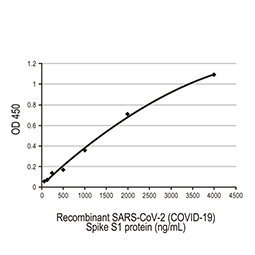 SARS-CoV-2 (COVID-19) Spike S1 protein, His and Avi tag (active) SARS-CoV-2 (COVID-19) Spike S1 protein, His and Avi tag (active)