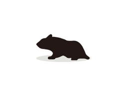 Hamster Immunoglobulins