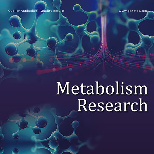 Metabolism