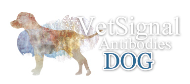 VetSignal Antibodies Dog