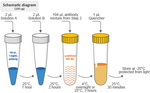 HRP Antibody Labeling Kit