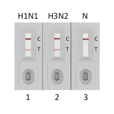 Influenza A Virus (FluA)