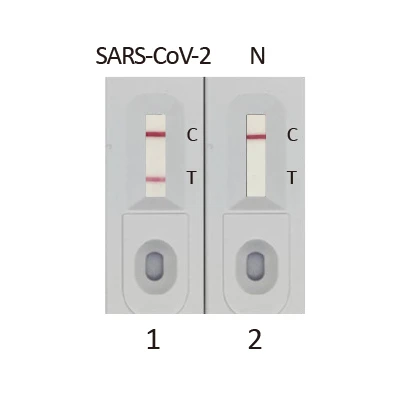 SARS-CoV-2 (COVID-19)