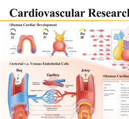 Cardiovascular poster