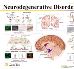 Neurodegenerative Disorders poster