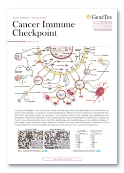 Cancer Immune Checkpoint