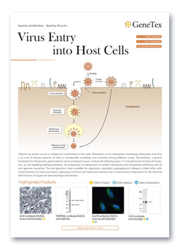 Virus Entry into Host Cells