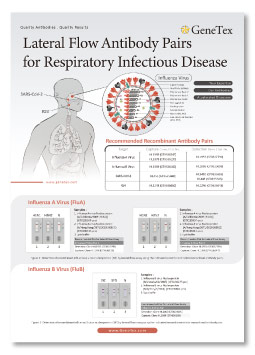 Lateral Flow Antibody Pairs for Respiratory Infectious Diseases