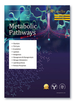 Metabolic Pathways