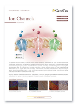 Ion Channels