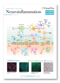 Neuroinflammation