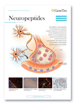 Neuropeptides