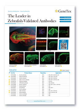 The Leader in Zebrafish-Validated Antibodies