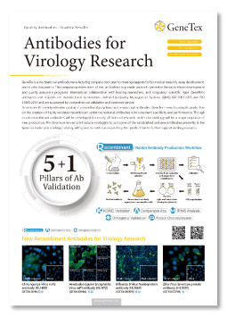 Antibodies for Virology Research